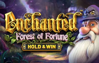 Winnita Enchanted Forest of Fortune Hold Win